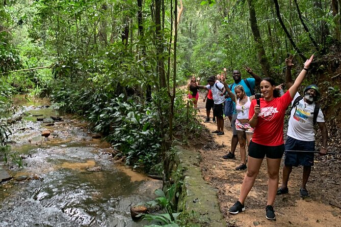 Tijuca Forest Hike - Waterfalls & Caves, Nature & Wild Life! - Taunay Waterfall and the first glimpse of the park