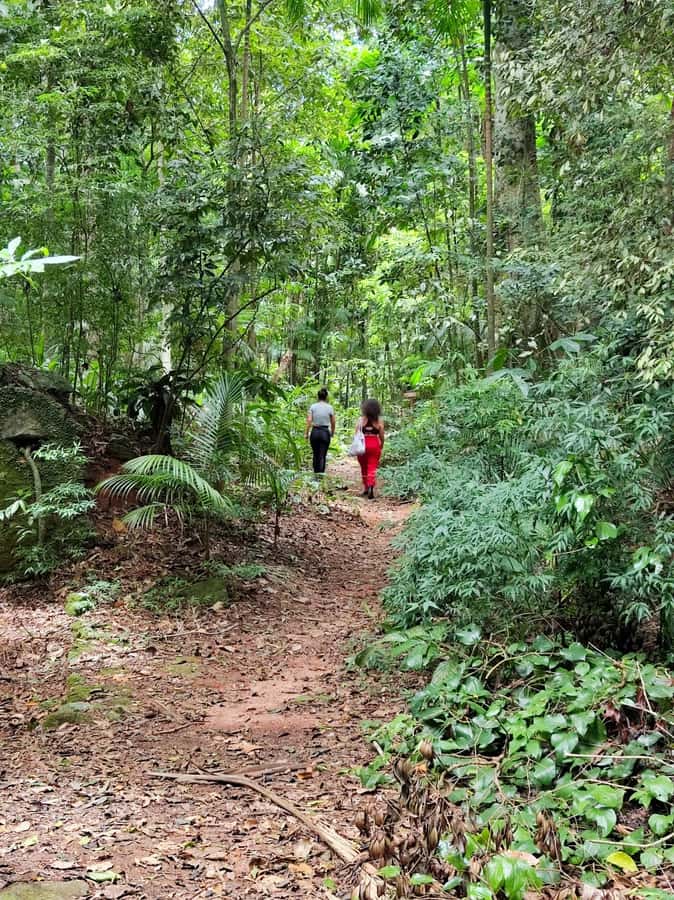 Tijuca Forest´s hike: caves, waterfalls and great views - Why This Tijuca Forest Hike Is Worth Your Time