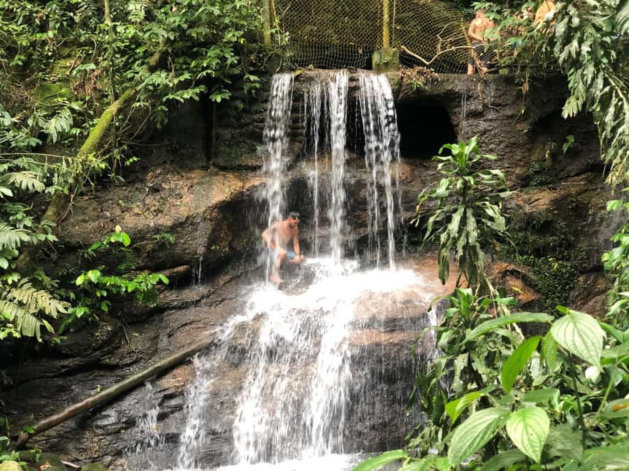 Tijuca Forest´s hike: caves, waterfalls and great views - Uphill Trails Through Rainforest