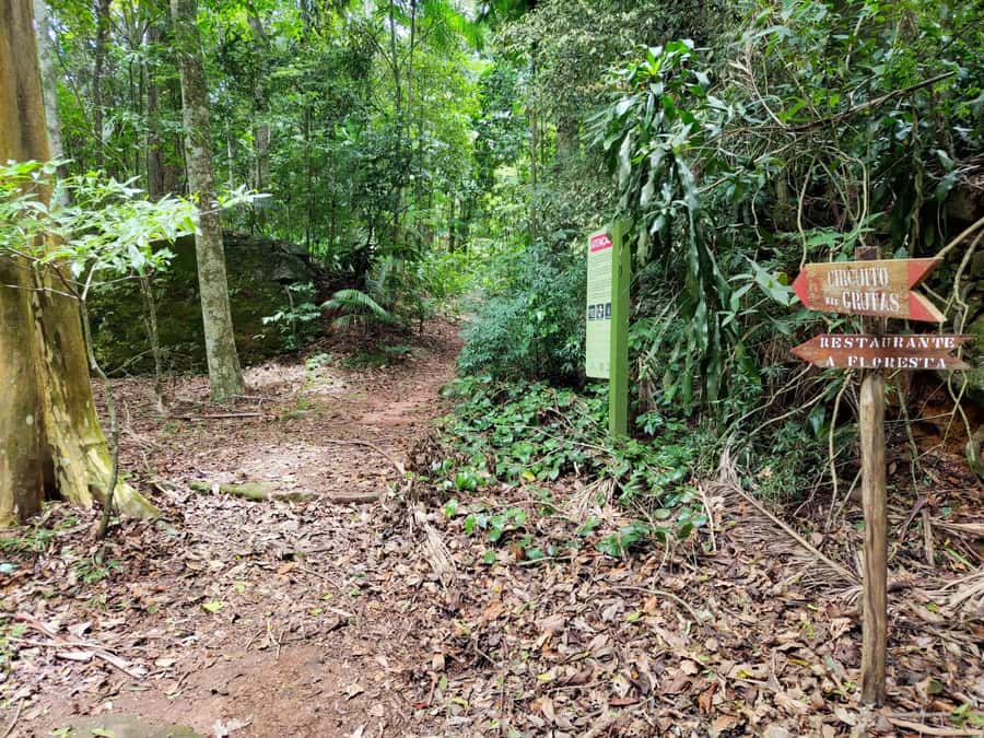 Tijuca Forest´s hike: caves, waterfalls and great views - Cachoeira das Almas and the Waterfall Break
