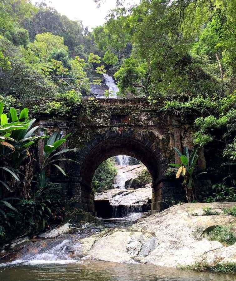 Tijuca Forest´s hike: caves, waterfalls and great views - Streams, Views, Plants, and Wildlife