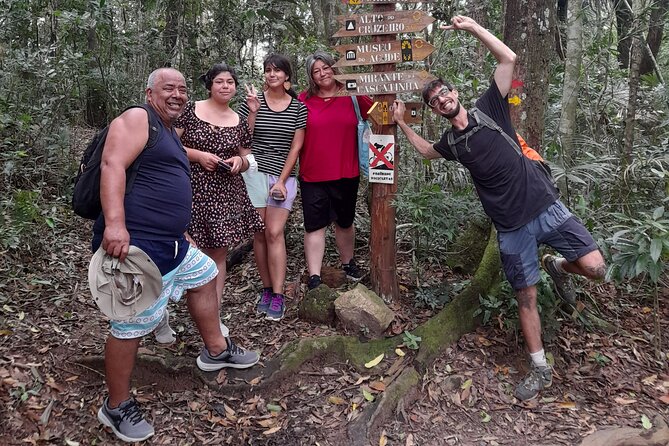 Tijuca National Park and all its wonders - Why Tijuca National Park feels so different from Rio