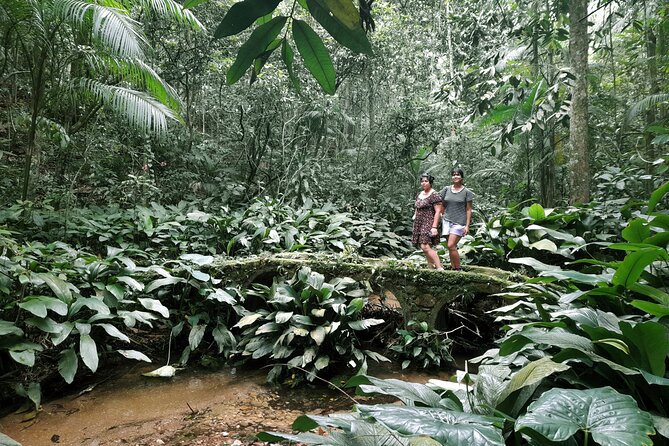Tijuca National Park and all its wonders - Cascatinha Taunay, the 35-meter centerpiece