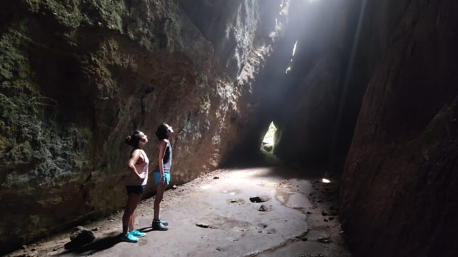 Tijuca National Park and all its wonders! - Why the private format matters