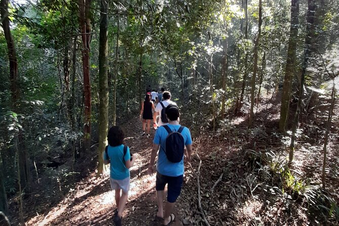 Tijuca National Park and all its wonders! - The Historical Circuit and old coffee country