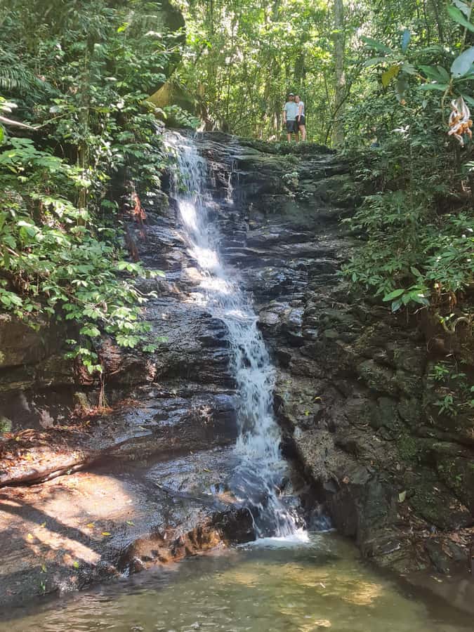 Tijuca Rain Forest - Adventure through Waterfalls & Caves - Is $60 a fair price?
