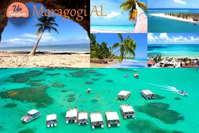 Tour To Maragogi AL - Key points to know before you book