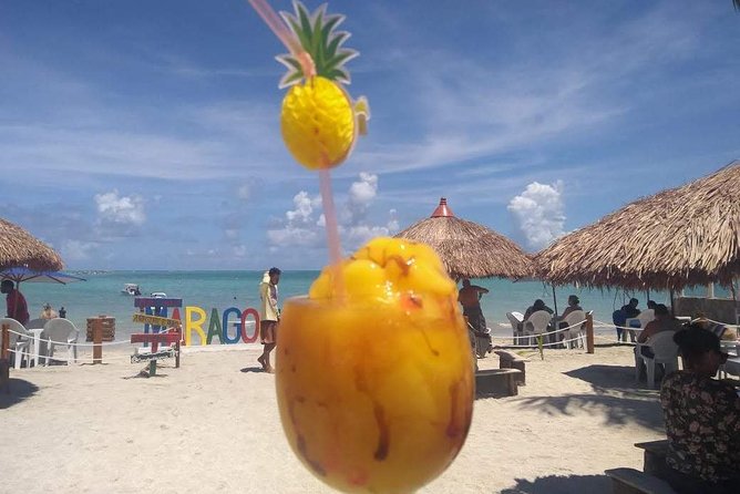 Tour To Maragogi AL - Why Maragogi is worth the trip from Porto de Galinhas