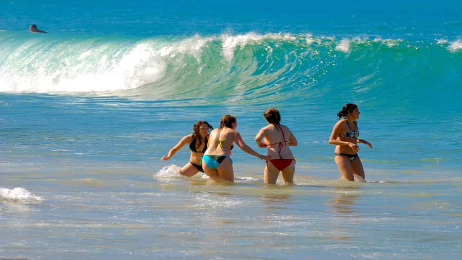 Trindade Day Trip: Nature and Sea Adventure from Paraty - Key points at a glance