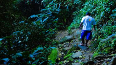 Trindade Day Trip: Nature and Sea Adventure from Paraty