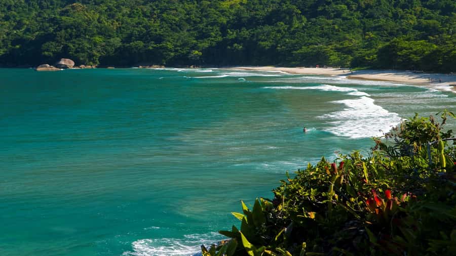 Trindade Day Trip: Nature and Sea Adventure from Paraty - Meio Beach leads into the forest