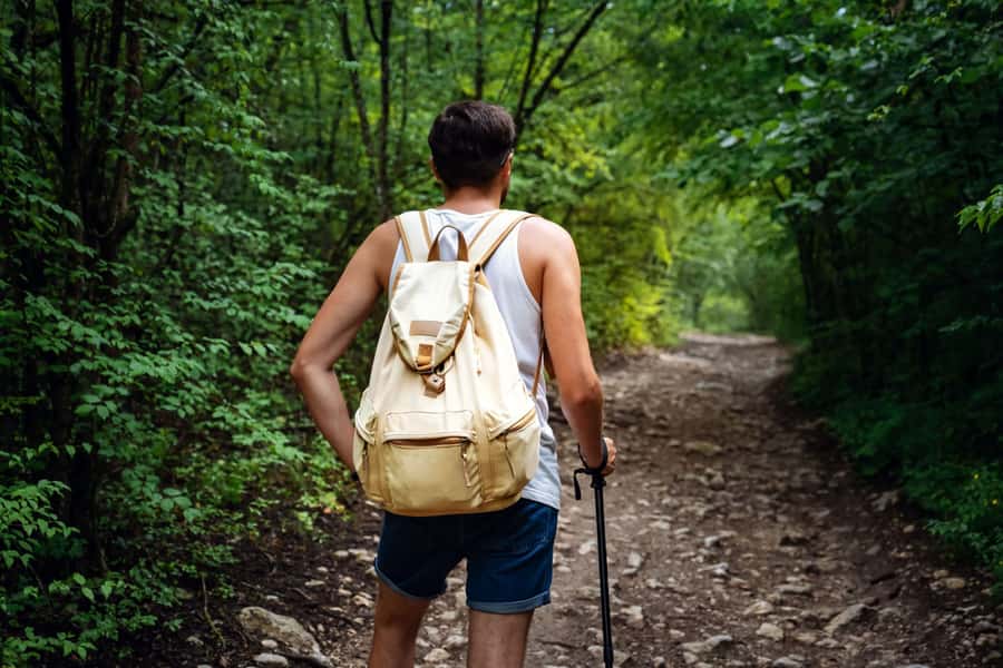 Walk to the Big Rock in Cantareira State Park - Key points at a glance