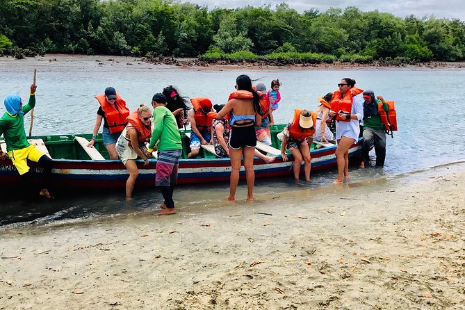 West Coast Tour / Tatajuba - Guriú’s mangrove trail and aerial roots