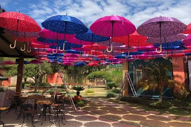 Wine Tour in São Roque by Car, Tour with Local Guides - Breakfast starts the six-hour outing